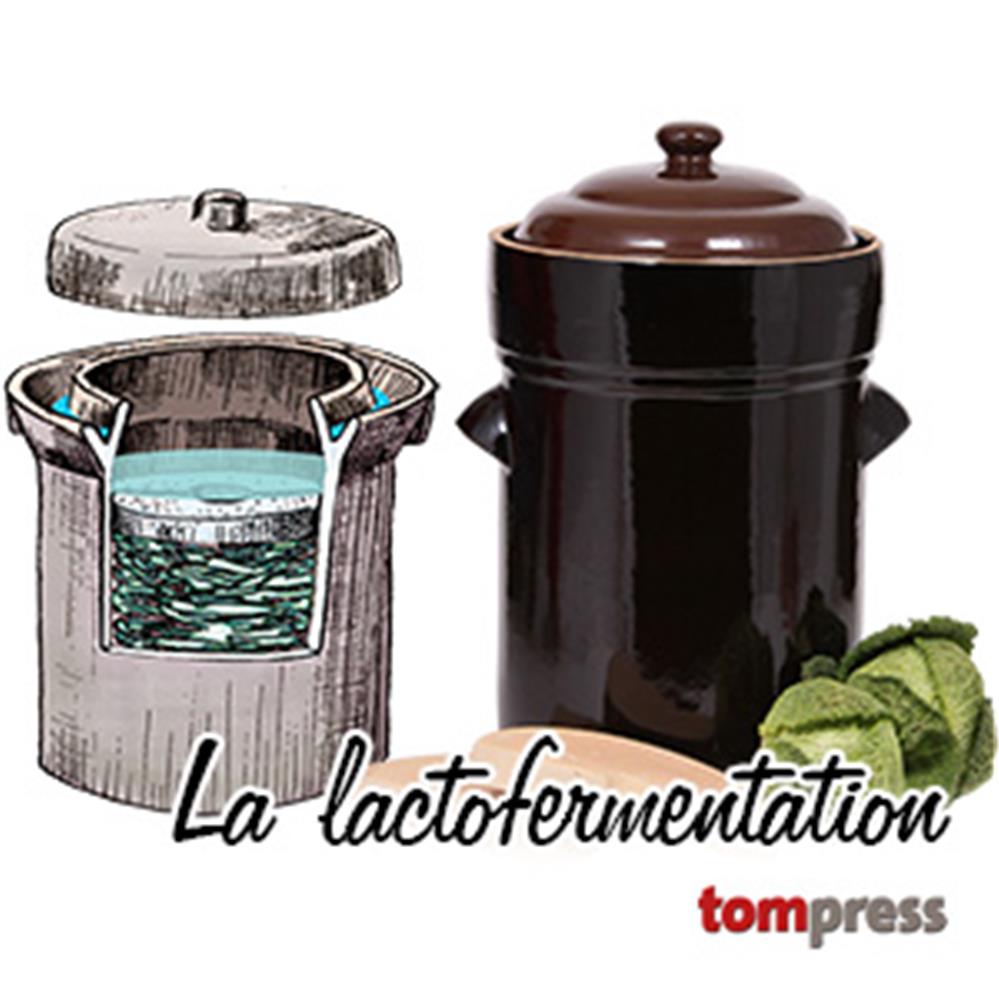 Tout savoir sur la lacto-fermentation, méthode de conservation longue durée  - La Fourche