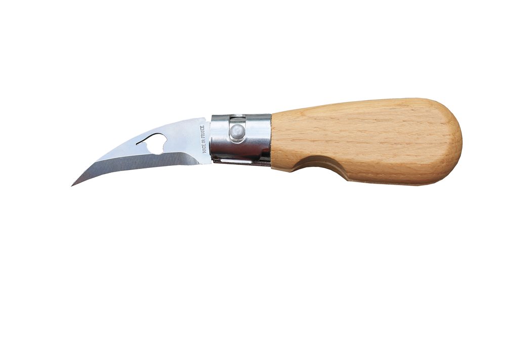 Couteau à éplucher les châtaignes manche bois acier inox 12c27