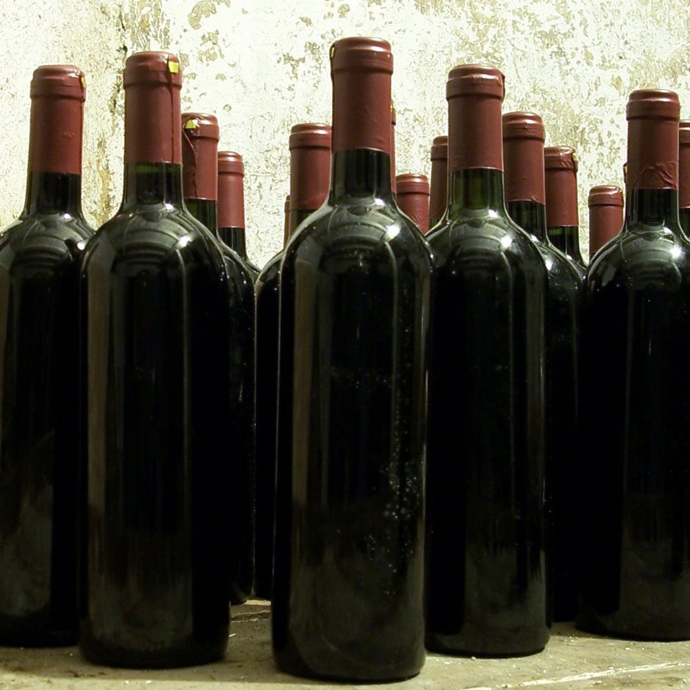 Pompe à vide pour vin : notre comparatif - La Cave à Vin